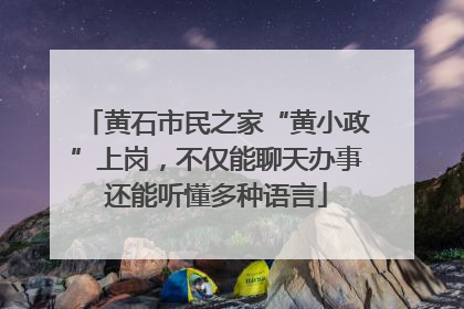 黄石市民之家“黄小政”上岗，不仅能聊天办事还能听懂多种语言