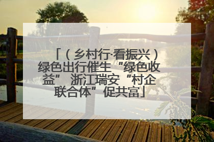 （乡村行·看振兴）绿色出行催生“绿色收益” 浙江瑞安“村企联合体”促共富