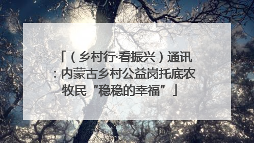 （乡村行·看振兴）通讯：内蒙古乡村公益岗托底农牧民“稳稳的幸福”