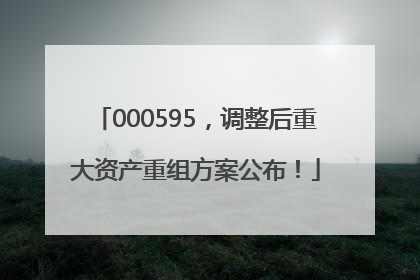 000595，调整后重大资产重组方案公布！