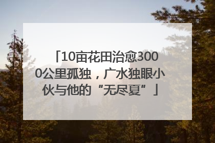 10亩花田治愈3000公里孤独，广水独眼小伙与他的“无尽夏”