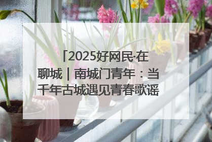 2025好网民·在聊城｜南城门青年：当千年古城遇见青春歌谣 一湖碧水见证的“聊城式浪漫”