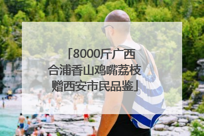 8000斤广西合浦香山鸡嘴荔枝赠西安市民品鉴