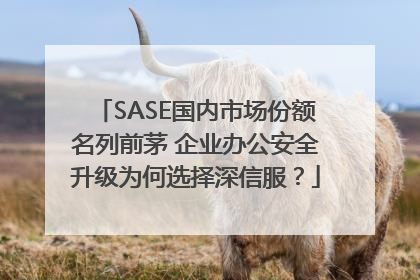 SASE国内市场份额名列前茅 企业办公安全升级为何选择深信服？